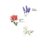 ⁦كولونيا اللافندر  Spray (150 مل)⁩ - الصورة ⁦2⁩