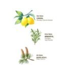 Rain Forest Cologne Spray (150 ml) - Image 2
